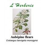 AUBEPINE FLEURS 100GR