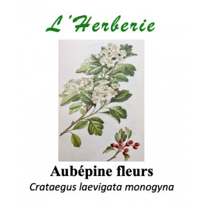 https://www.lherberie.com/5745-thickbox/aubepine-fleurs-100gr.jpg