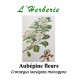 AUBEPINE FLEURS 100GR