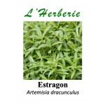 Estragon feuille coupé 100 gr Artemisia dracunculus