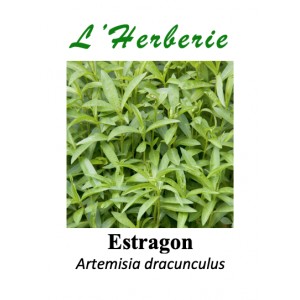 https://www.lherberie.com/5755-thickbox/estragon-feuille-coupe-100-gr-artemisia-dracunculus.jpg