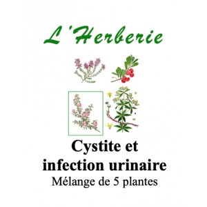 https://www.lherberie.com/5775-thickbox/cystite-melange-de-5-plantes-100-gr-.jpg