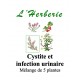 CYSTITE Mélange de 5 plantes 100 gr 