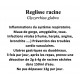 REGLISSE RACINE CP 100GR