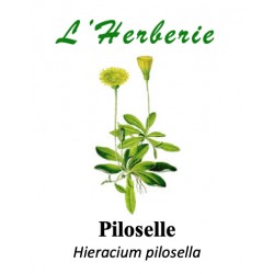 PILOSELLE  100GR