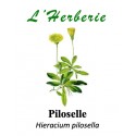 PILOSELLE  100GR