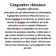 GINGEMBRE RHIZOMES 100GR