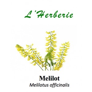 https://www.lherberie.com/5790-thickbox/melilot-100gr.jpg