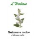 GUIMAUVE RAC MONDEE CP 100GR