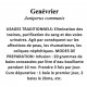GENEVRIER BAIE 100GR