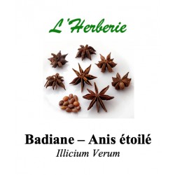 ANIS ETOILEE / BADIANE 100GR