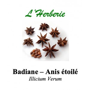 https://www.lherberie.com/5802-thickbox/anis-etoilee-badiane-100gr.jpg