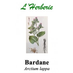 BARDANE RACINE 100GR