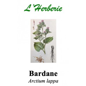 https://www.lherberie.com/5804-thickbox/bardane-racine-100gr.jpg