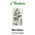 BARDANE RACINE 100GR