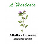 ALFALFA SEMENCE 100GR