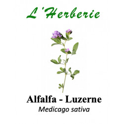 ALFALFA SEMENCE 100GR