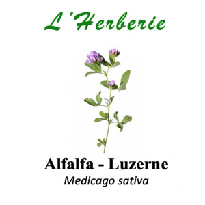 https://www.lherberie.com/5806-thickbox/alfalfa-semence-100gr.jpg