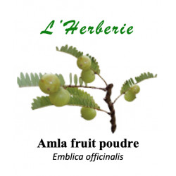 Amla fruit en Poudre 100gr
