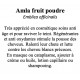 Amla fruit en Poudre 100gr