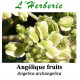 Angélique Fruits 100gr