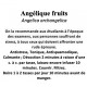 Angélique Fruits 100gr