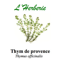 THYM DE PROVENCE 100GR