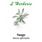 SAUGE OFFICINALE 100GR