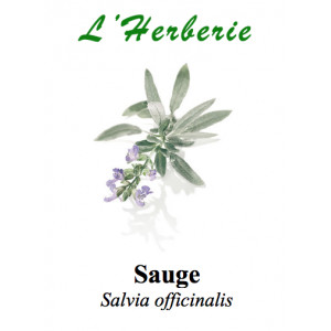 https://www.lherberie.com/5817-thickbox/sauge-officinale-100gr.jpg