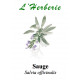 SAUGE OFFICINALE 100GR