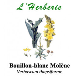 BOUILLON BLANC 100GR