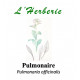 Pulmonaire  Pulmonaria officinalis 100gr