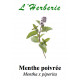 MENTHE POIVREE FE ENT 100GR