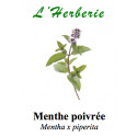 MENTHE POIVREE FE 100GR