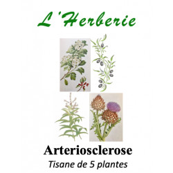 ARTERIOSCLEROSE TISANE DE 5 PLANTES 100g