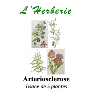 https://www.lherberie.com/5832-thickbox/arteriosclerose-tisane-de-5-plantes-100g.jpg