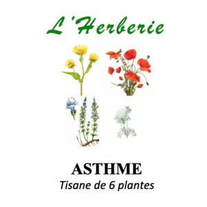 https://www.lherberie.com/5842-thickbox/asthme-tisane-de-6-plantes-100g.jpg