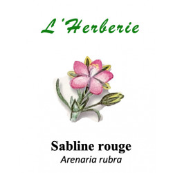 Sabline rouge 100g Arenaria rubra
