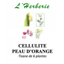 CELLULITE PEAU D'ORANGE TISANE DE 6 PLANTES 100g