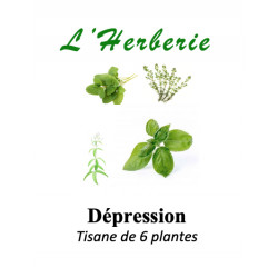 DEPRESSION LEGERE A MODEREE TISANE DE 6 PLANTES 100g