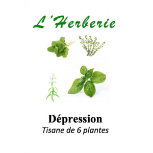 https://www.lherberie.com/5864-thickbox/depression-legere-a-moderee-tisane-de-6-plantes-100g.jpg