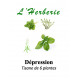 DEPRESSION LEGERE A MODEREE TISANE DE 6 PLANTES 100g