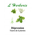 DEPRESSION LEGERE A MODEREE TISANE DE 6 PLANTES 100g