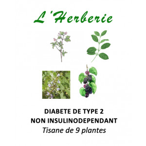 https://www.lherberie.com/5866-thickbox/diabete-de-type-2-non-insulinodependant-tisane-de-9-plantes-100gr.jpg