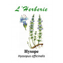 Hysope 100 gr Hyssopus officinalis