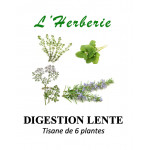 Digestion Lente Tisane de 6 plantes