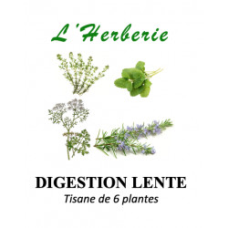 Digestion Lente Tisane de 6 plantes
