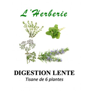 https://www.lherberie.com/5873-thickbox/digestion-lente-tisane-de-6-plantes.jpg