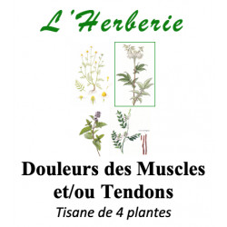 DOULEURS MUSCULAIRES ET OU TENDONS TISANE 100g