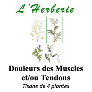 https://www.lherberie.com/5875-thickbox/douleurs-musculaires-et-ou-tendons-tisane-100g.jpg